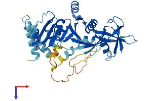 DRG2 Protein (AA 1-364) (His tag)