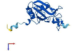 AlphaFold protein structure predicition of Human Recombinant NCBP2L Protein, UniprotID A6PVI3