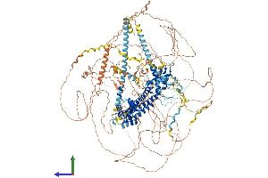 Protein Structure (PS) image for Formin 1 (FMN1) (AA 1-1466) protein (His tag) (ABIN7563597)