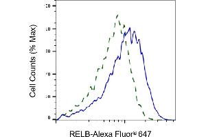 Validation of RELB knockdown using flow cytometry. (Rekombinanter RELB Antikörper)