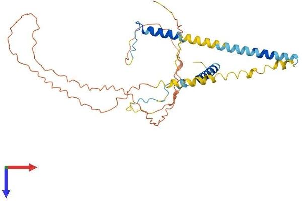RSRC1 Protein (AA 1-334) (His tag)