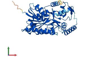 Protein Structure (PS) image for Hydroxy-delta-5-Steroid Dehydrogenase, 3 beta- and Steroid delta-Isomerase 7 (HSD3B7) (AA 1-369) protein (His tag) (ABIN7551836)