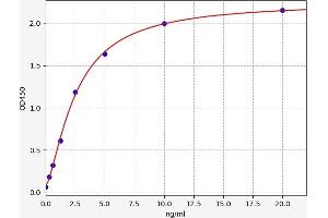 SLC12A2 ELISA Kit