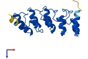 CDKN2D Protein (AA 1-166) (His tag)