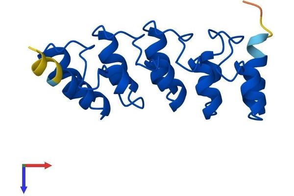 CDKN2D Protein (AA 1-166) (His tag)