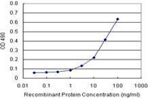 Sandwich ELISA detection sensitivity ranging from 3 ng/mL to 100 ng/mL. (GSTK1 (Human) Matched Antibody Pair)