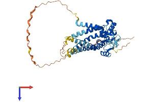 MTCH1 Protein (AA 1-389) (His tag)