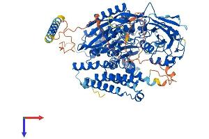 Transferrin Receptor 2 Protein (TFR2) (AA 1-801) (His tag)
