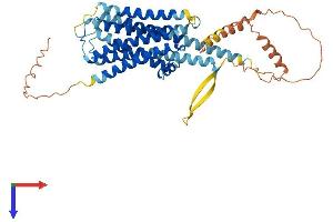 Dopamine d2 Receptor Protein (AA 1-444) (His tag)