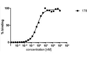 ELISA analysis of human HDAC6 by mouse monoclonal antibody 178. (HDAC6 Antikörper)