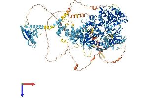 DHX29 Protein (AA 1-1369) (His tag)
