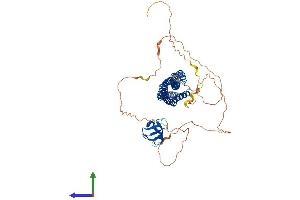 Protein Structure (PS) image for BAI1-Associated Protein 2 (BAIAP2) (AA 1-552) protein (His tag) (ABIN7552632)