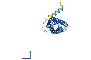 Protein Structure (PS) image for Transmembrane Protein 17 (TMEM17) (AA 1-198) protein (His tag) (ABIN7544537)