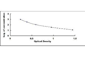 Oxytocin ELISA Kit