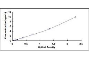 Typical standard curve (MAPRE1 ELISA Kit)