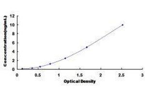 Bone Sialoprotein (BSP) ELISA Kit