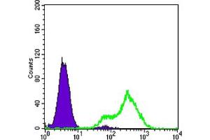 Flow cytometric analysis of LOVO cells using FABP2 mouse mAb (green) and negative control (purple). (FABP2 Antikörper)