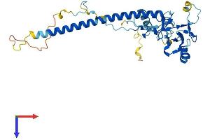 NOSIP Protein (AA 1-301) (His tag)