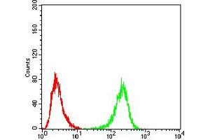 Flow Cytometry (FACS) image for anti-Unc-51 Like Kinase 2 (ULK2) (AA 1-155) antibody (ABIN5882566) (ULK2 Antikörper  (AA 1-155))