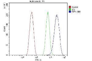 Flow Cytometry analysis of HEPA1-6 cells using anti-eRF1/ETF1 antibody (ABIN7602626). (ETF1 Antikörper  (AA 9-342))