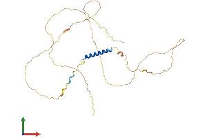 Protein Structure (PS) image for Junctional Sarcoplasmic Reticulum Protein 1 (JSRP1) (AA 1-331) protein (His tag) (ABIN7548609)