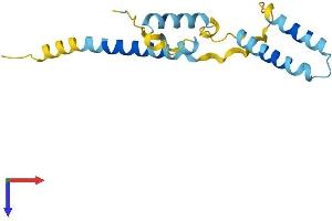 HES2 Protein (AA 1-157) (His tag)