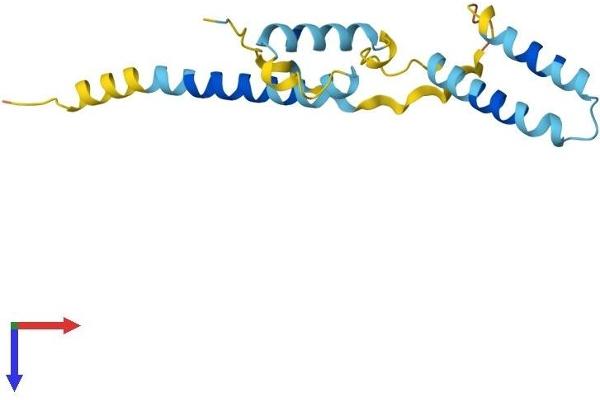 HES2 Protein (AA 1-157) (His tag)
