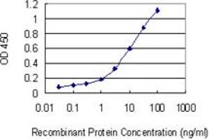 Detection limit for recombinant GST tagged STX8 is 0. (STX8 Antikörper  (AA 1-236))