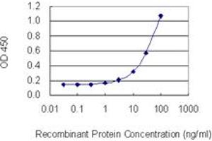 Detection limit for recombinant GST tagged DTNBP1 is 1 ng/ml as a capture antibody. (DTNBP1 Antikörper  (AA 1-100))