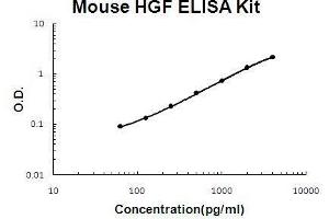 Mouse HGF PicoKine ELISA Kit standard curve