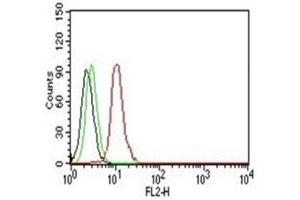Flow Cytometry testing of Jurkat cells. (Cyclin D1 Antikörper)