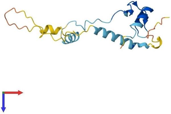ZNHIT1 Protein (AA 1-154) (His tag)