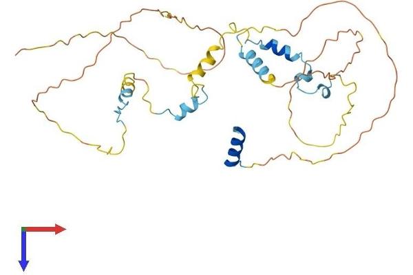 AVEN Protein (AA 1-342) (His tag)