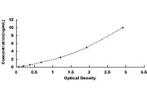 Thyroid Stimulating Hormone Receptor (TSHR) ELISA Kit