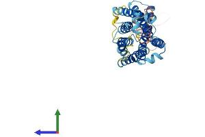 Protein Structure (PS) image for MAS-Related GPR, Member F (Mrgprf) (AA 1-343) protein (His tag) (ABIN7559821)
