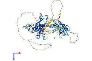 SYTL3 Protein (AA 1-610) (His tag)