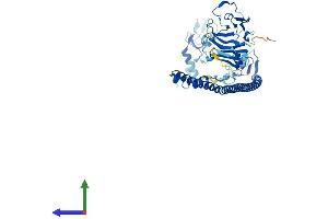 Protein Structure (PS) image for Tripartite Motif Containing 11 (TRIM11) (AA 1-467) protein (His tag) (ABIN7564926)
