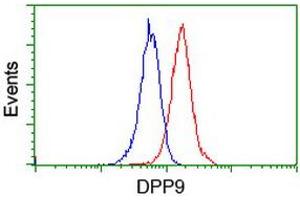 Flow cytometric Analysis of Jurkat cells, using anti-DPP9 antibody (ABIN2455319), (Red), compared to a nonspecific negative control antibody, (Blue). (DPP9 Antikörper)