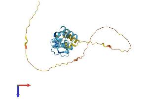 CABP4 Protein (AA 1-271) (His tag)