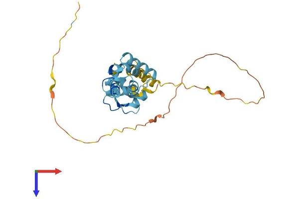 CABP4 Protein (AA 1-271) (His tag)