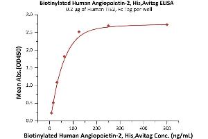 ELISA image for Angiopoietin 2 (ANGPT2) (AA 275-496) (Active) protein (His tag,AVI tag,Biotin) (ABIN6972942)