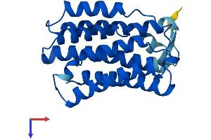 KDELR2 Protein (AA 1-212) (His tag)