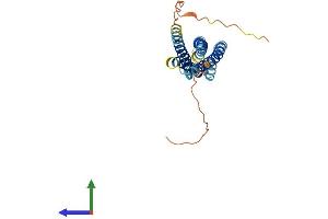 Protein Structure (PS) image for Membrane-Spanning 4-Domains, Subfamily A, Member 6A (MS4A6A) (AA 1-248) protein (His tag) (ABIN7549220)