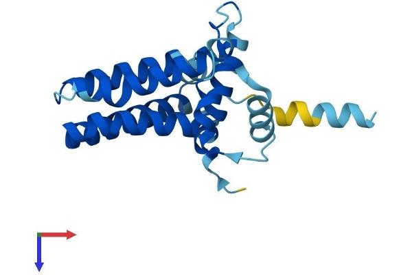 ARL6IP5 Protein (AA 1-188) (His tag)