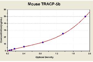 Diagramm of the ELISA kit to detect Mouse TRACP-5bwith the optical density on the x-axis and the concentration on the y-axis.