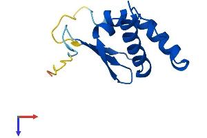 TCEB1 Protein (AA 1-112) (His tag)