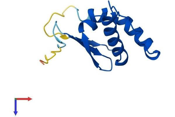 TCEB1 Protein (AA 1-112) (His tag)