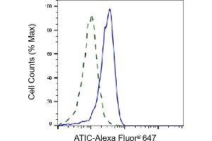 Validation of ATIC knockdown using flow cytometry. (ATIC Antikörper)