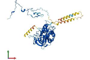 Protein Structure (PS) image for Eukaryotic Translation Initiation Factor 3, Subunit D (EIF3D) (AA 1-548) protein (His tag) (ABIN7562516)