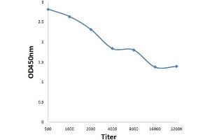 ELISA image for anti-Paired Immunoglobin-Like Type 2 Receptor beta (PILRB) (AA 51-150) antibody (ABIN707996)
